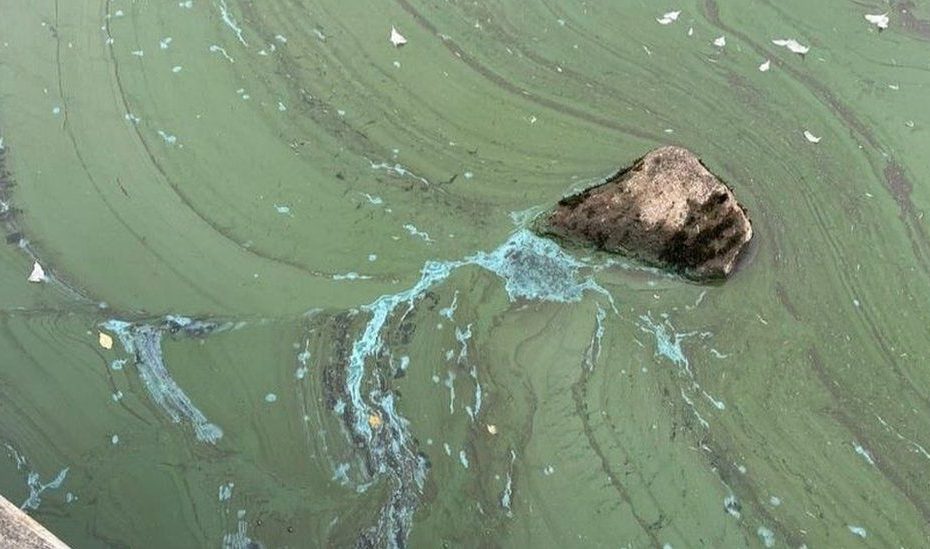 Blue-Green Algae Warning For Tourists At Llyn Tegid In Bala - Bbc News