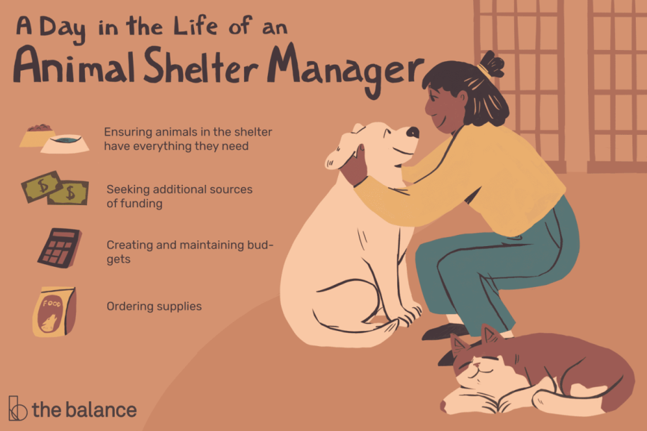 Animal Shelter Manager Job Description: Salary, Skills, & More