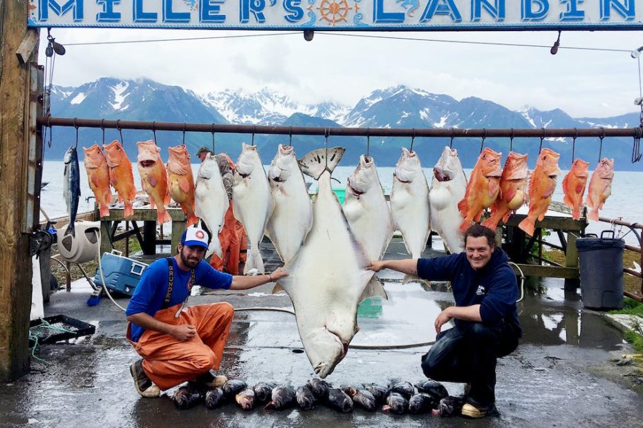 How Many Halibut Can A Non Resident Keep In Alaska Limits Explained