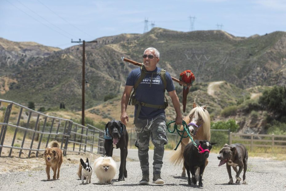 Dog Whisperer' Cesar Millan Offers Tips For Dog Owners - Los Angeles Times