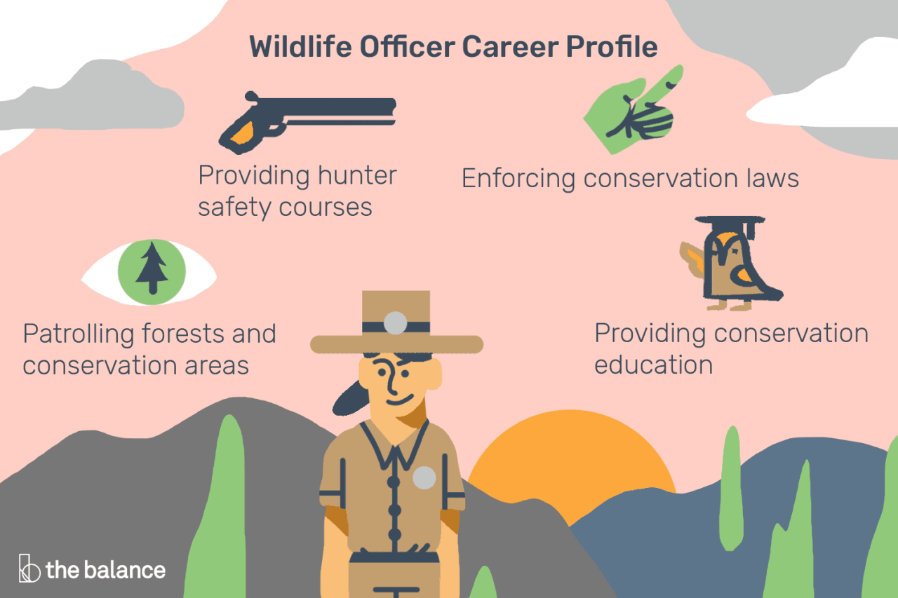 How Much Does A Us Fish And Wildlife Officer Make?